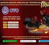 Slot Sabung Ayam Online