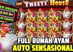 The Tweety House Slot Hari Ini Live Result Hk Sdy Sgp